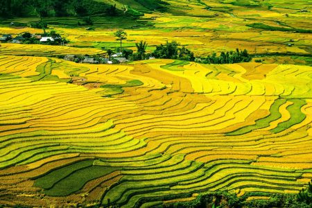 The Best Time To Discovery Beautiful Destinations In Vietnam