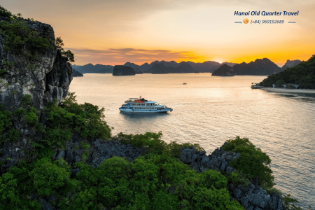 Sea Lion Luxury 5-Star Day Cruise in Ha Long Bay