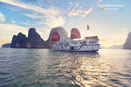 Renea Cruise – A 4 Star cruise in Bai Tu Long Bay