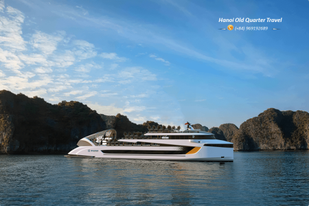Dolphin VIP Day Cruise in Ha Long Bay