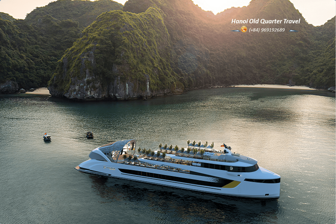 Dolphin VIP Day Cruise in Ha Long Bay
