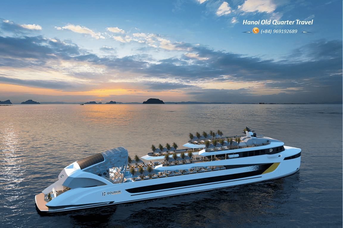 Dolphin VIP Day Cruise in Ha Long Bay