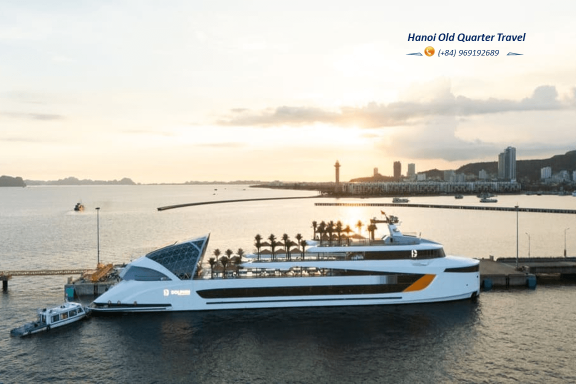Dolphin VIP Day Cruise in Ha Long Bay