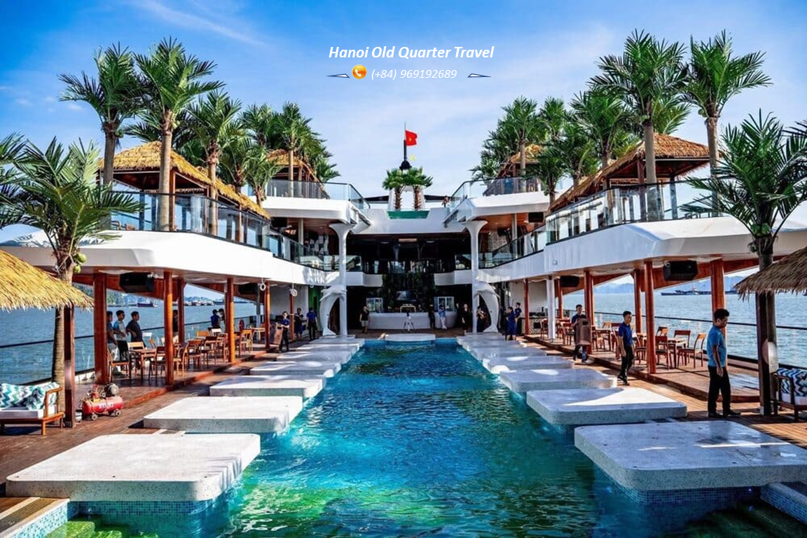 Dolphin VIP Day Cruise in Ha Long Bay