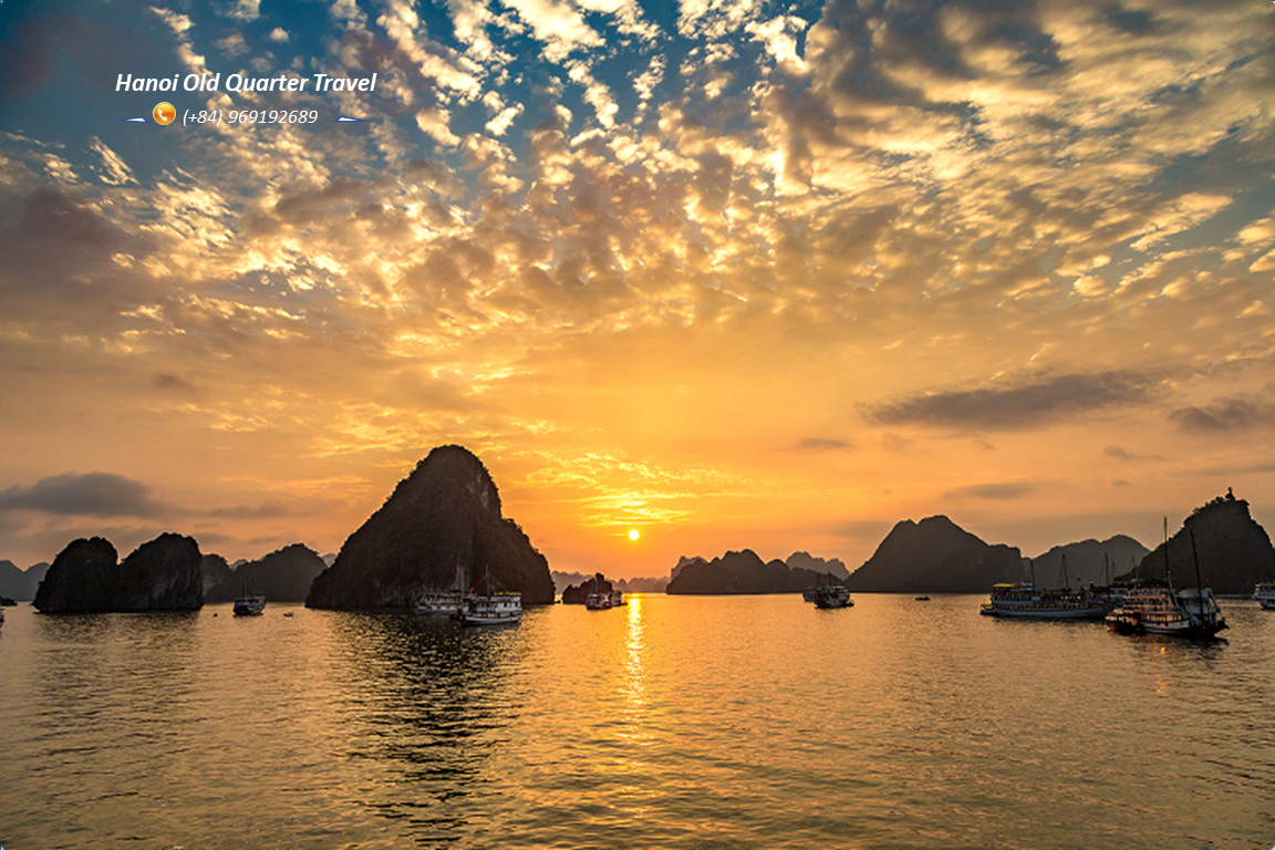 Dolphin VIP Day Cruise in Ha Long Bay