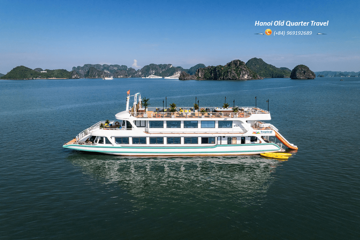 Tropical Cruise 5-Star Day Cruise in Lan Ha Bay & Cat Ba Island