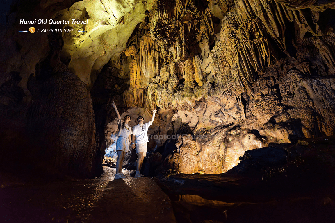 Tropical Cruise 5-Star Day Cruise in Lan Ha Bay & Cat Ba Island