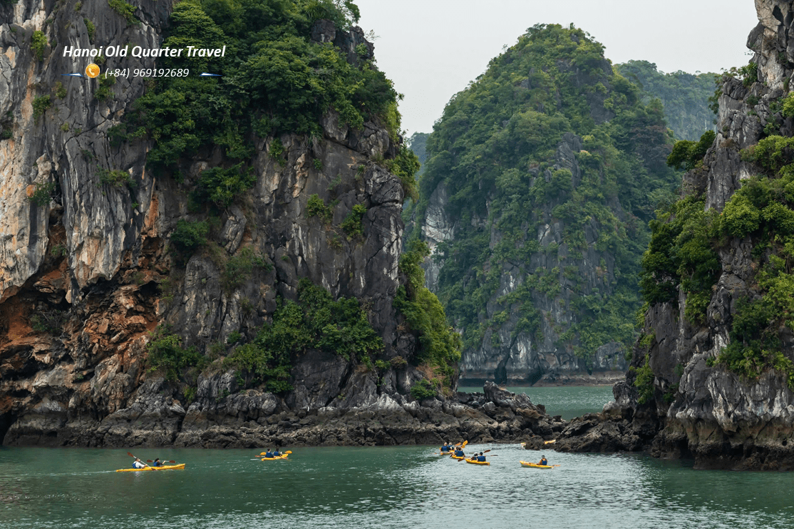 Tropical Cruise 5-Star Day Cruise in Lan Ha Bay & Cat Ba Island
