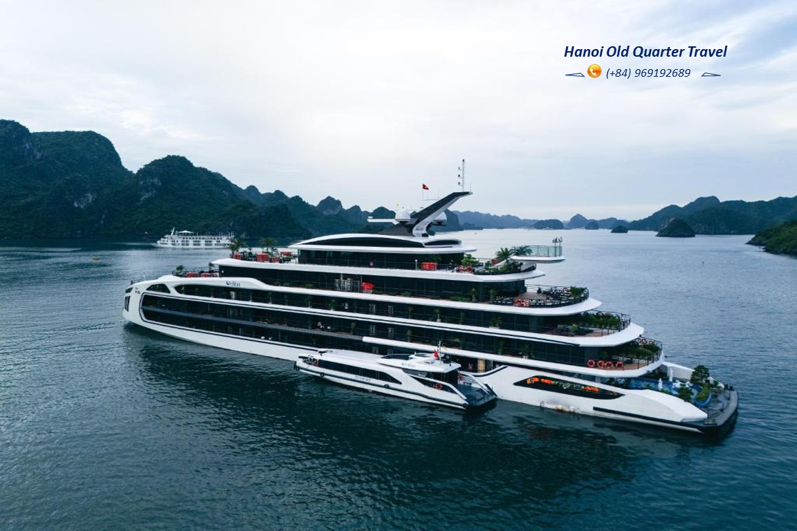 CELINA CRUISES- A BEST 5 STAR CRUISE IN LAN HA BAY